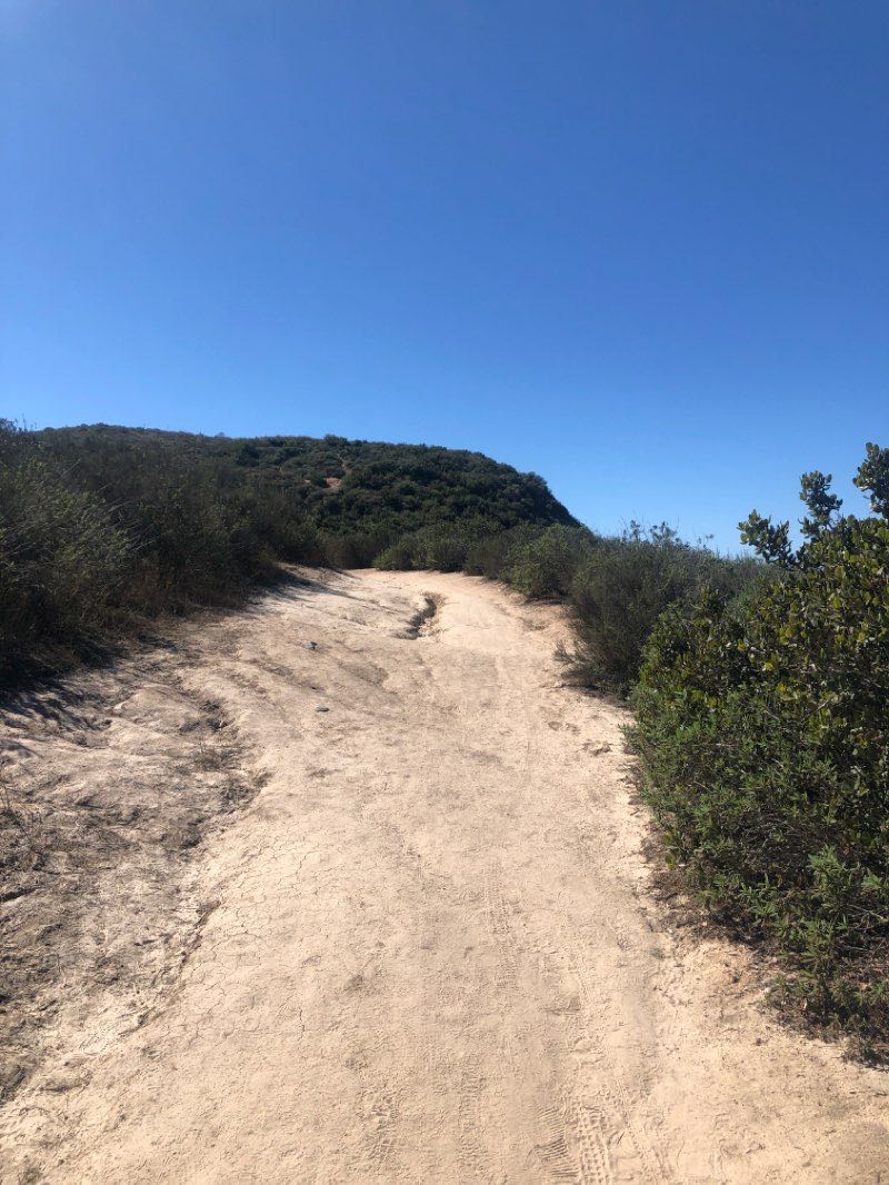walking near me in Oak Riparian Park in winter