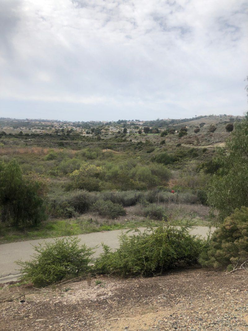 walking near me in Carrillo Ranch Park in winter