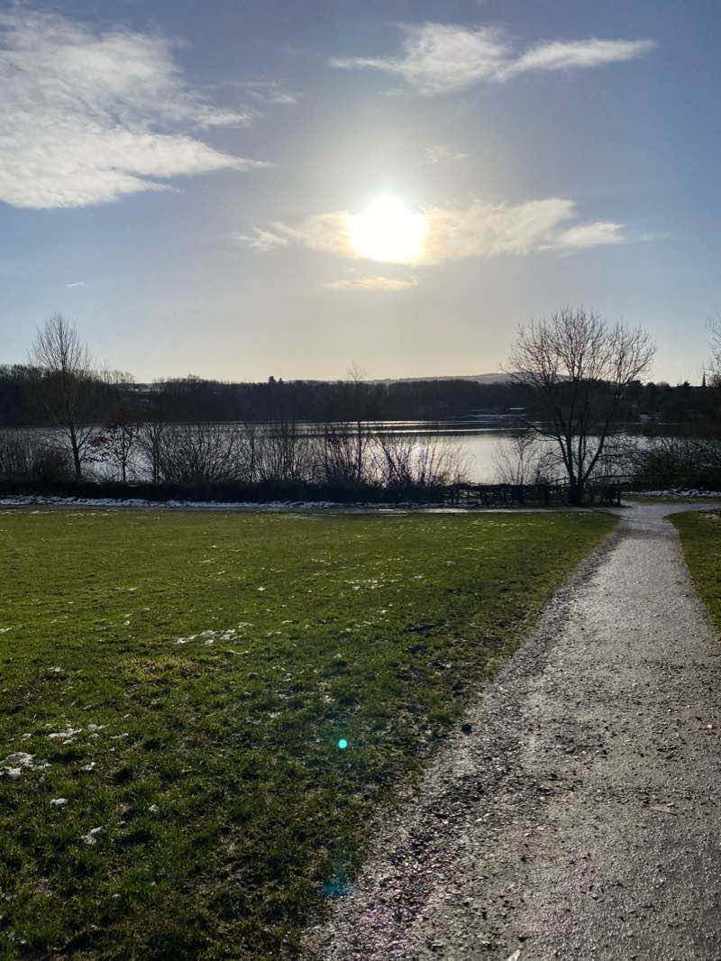 walking near me in Astbury Mere Country Park in winter