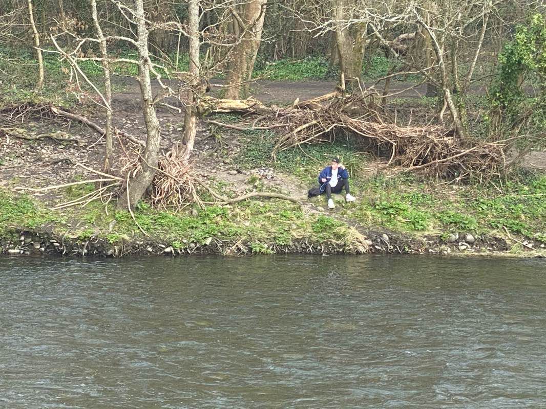 walking near me in Alexandra Gardens in winter