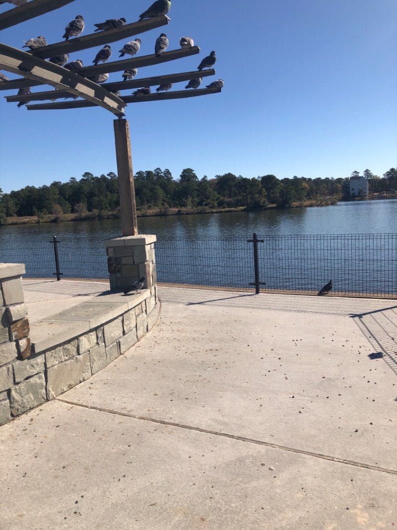 walking near me in Northshore Park in winter