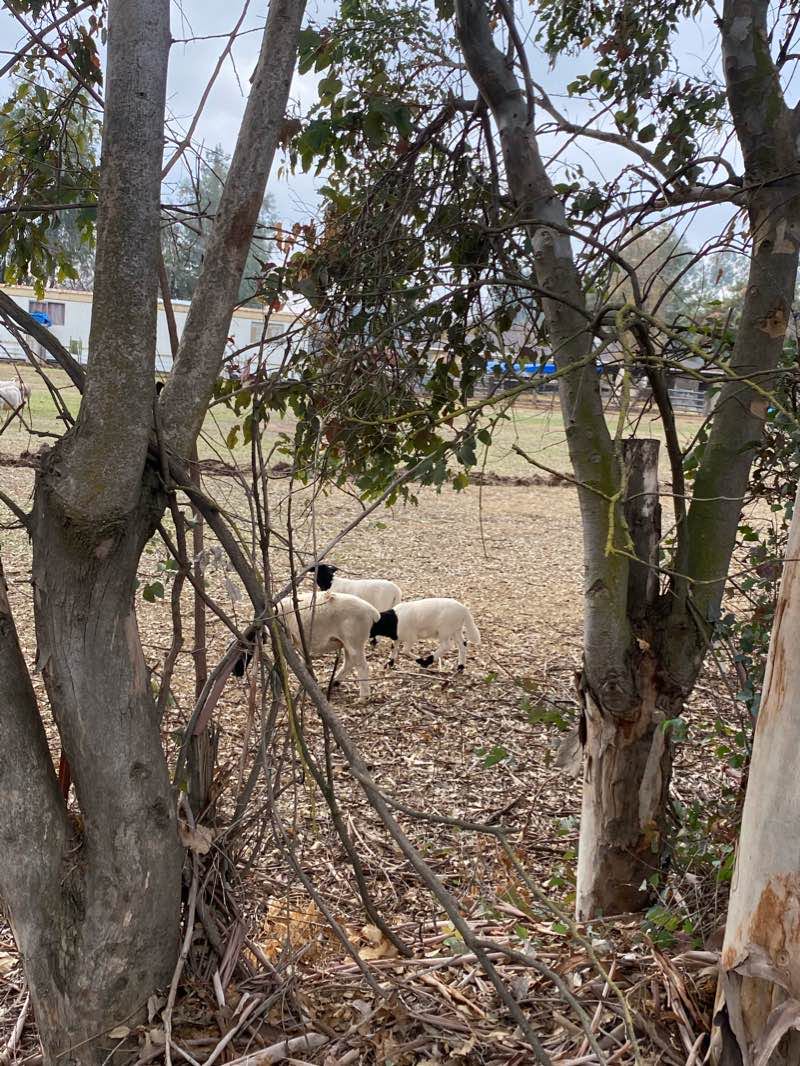 walking near me in LOMA VISTA PARK 6 in winter