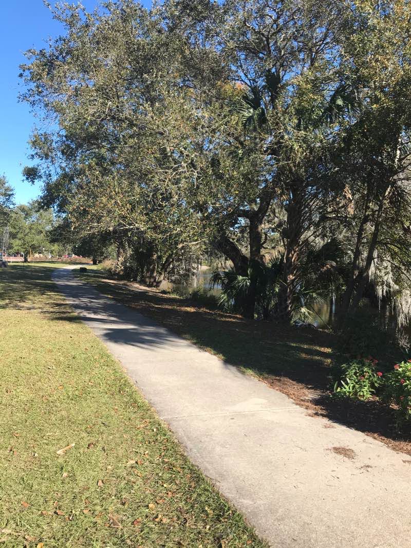 walking near me in New Orleans Botanical Gardens in winter