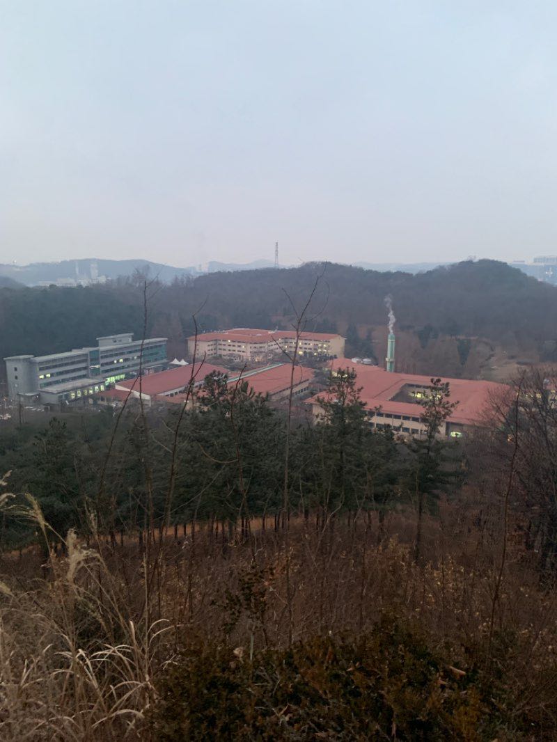 walking near me in 백운공원 in winter