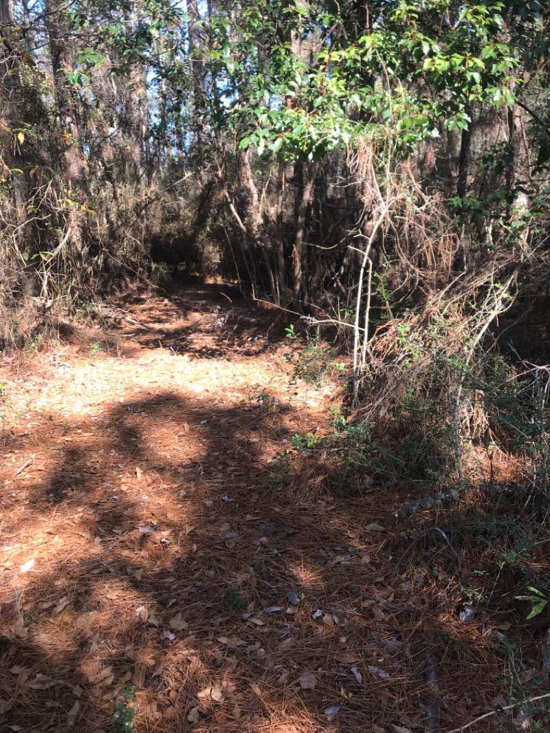 walking near me in Shepard State Park in winter