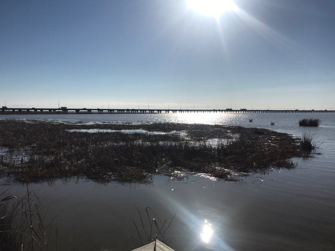 walking near me in Meaher State Park in winter