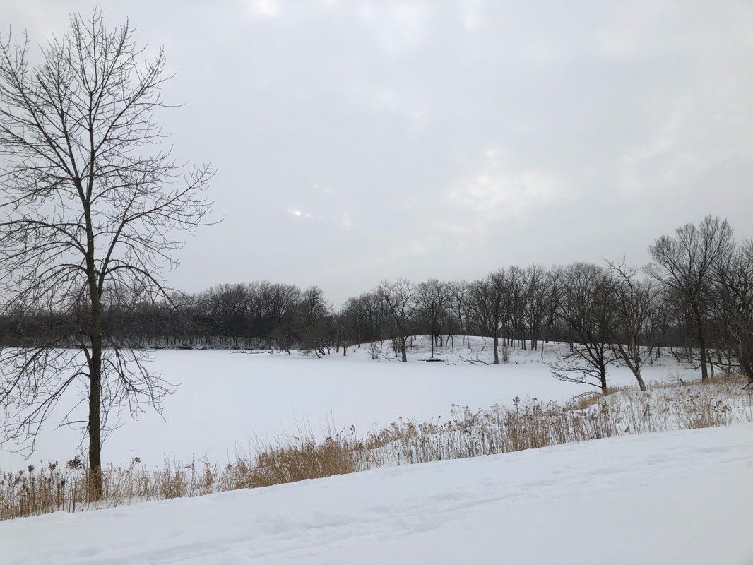 walking near me in Skokie Lagoons South in winter