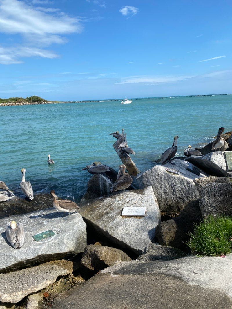 walking near me in Jetty Park in winter