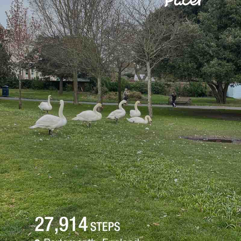 Tino Michelle post 1