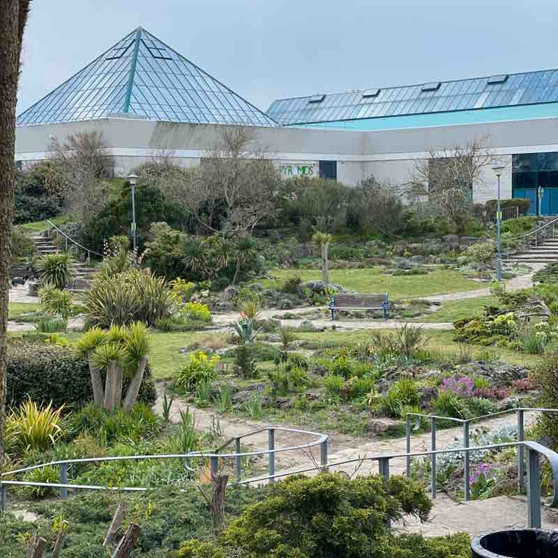 Tino Michelle post 3