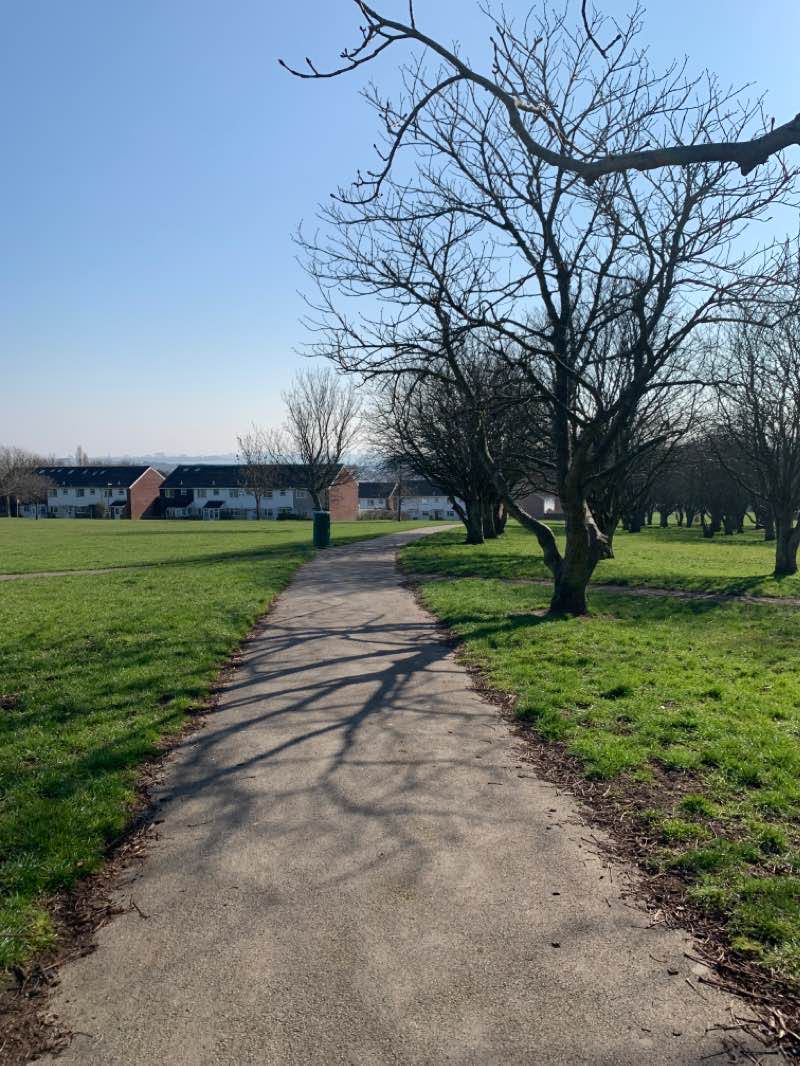 walking near me in High View Park in winter