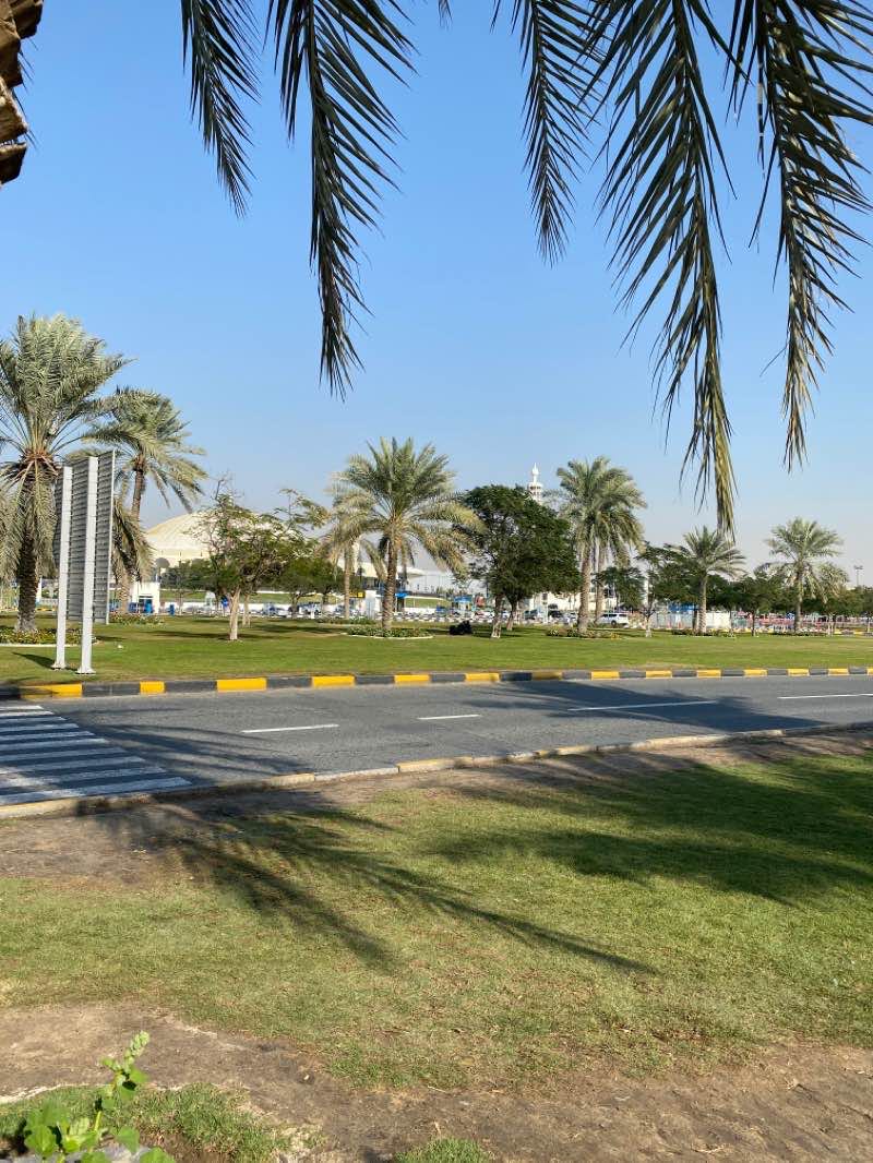 walking near me in Al Nahda Park in winter