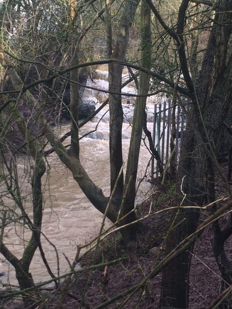 walking near me in Broken Scar Picnic Area in winter
