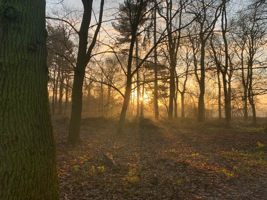 walking near me in Chaddesden Park in winter
