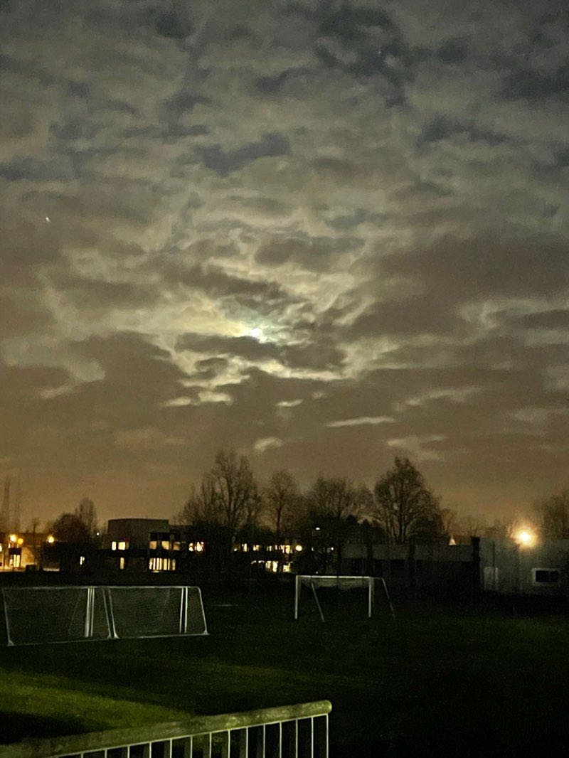walking near me in Gemeentepunt park in winter