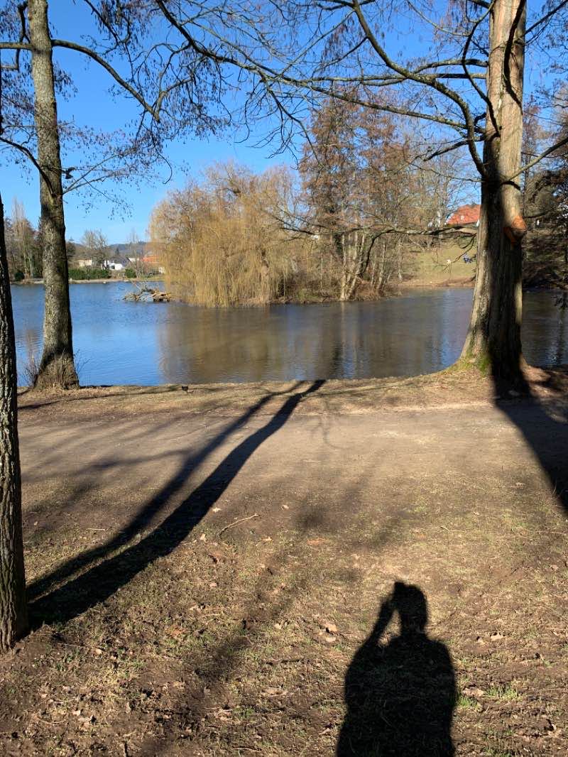 walking near me in Mattheiser Weiher in winter