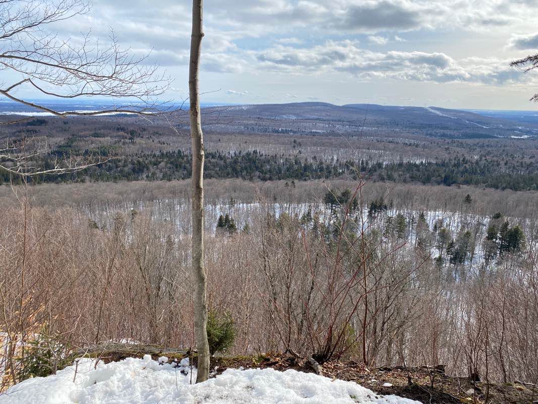walking near me in Station forestière de Duchesnay in winter