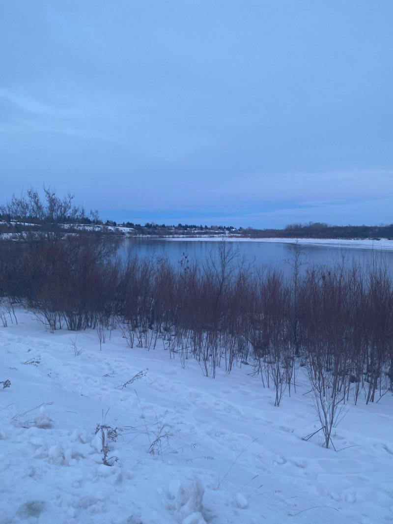 walking near me in Meewasin Park in winter