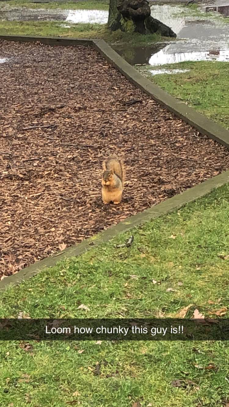 walking near me in Manry Park in winter