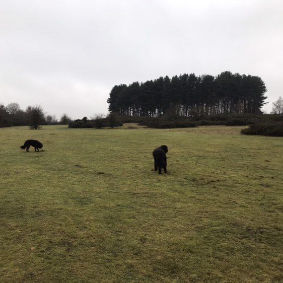 christine_marples post 1