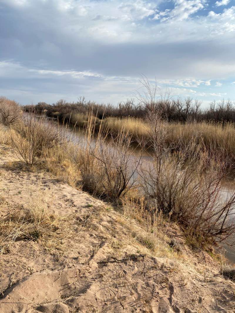 walking near me in Bitter Lake National Wildlife Refuge in winter