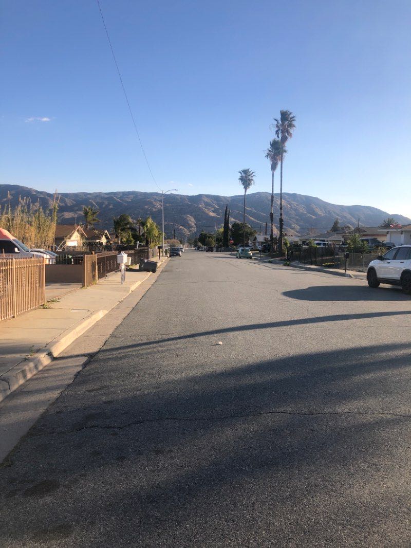 walking near me in Roosevelt Williams Park in winter