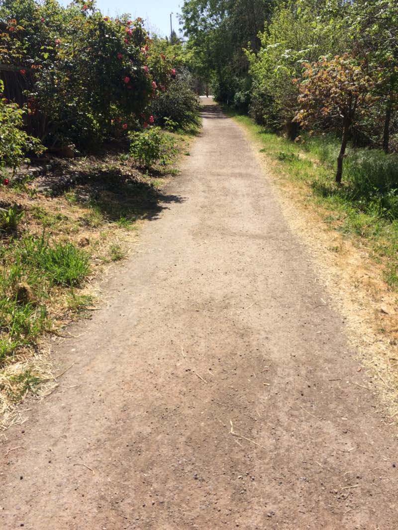 walking near me in Pocket Park and Food Forest in winter