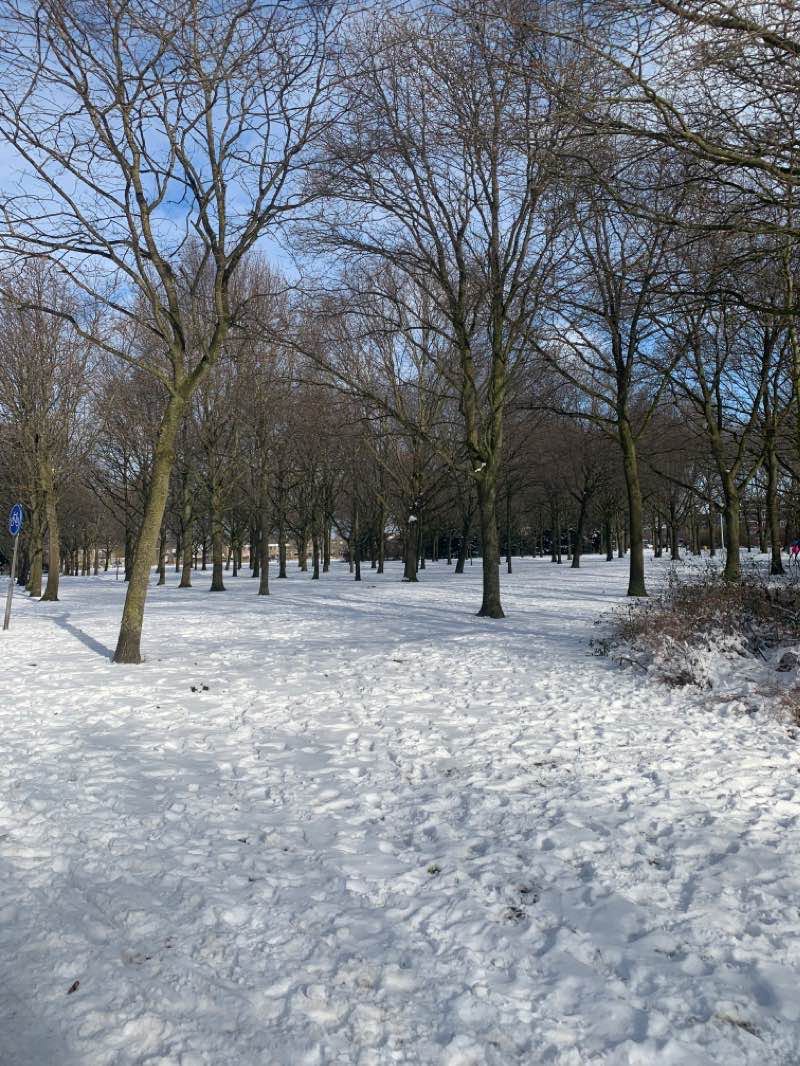 walking near me in Weteringpark in winter