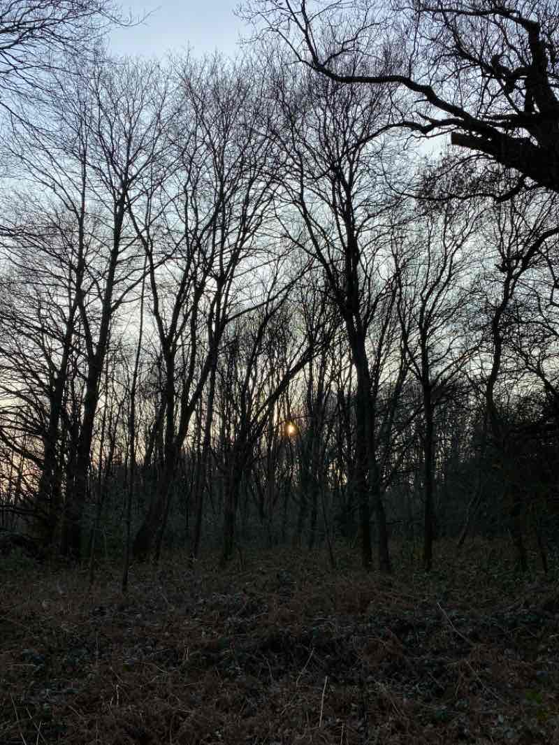 walking near me in The Green in winter