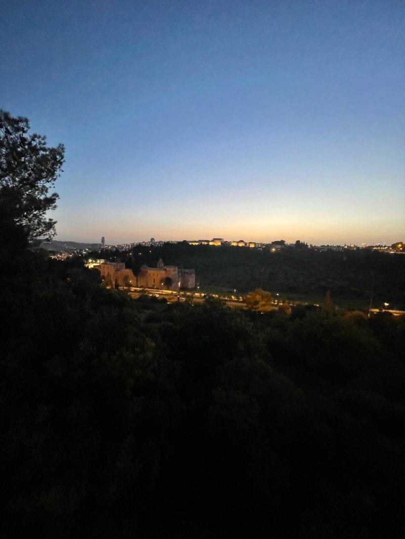 walking near me in Sir Charles Clore Hill Gardens in winter