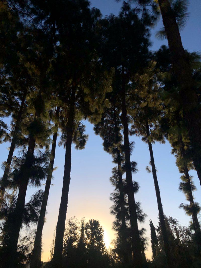 walking near me in Bustan Lior in winter