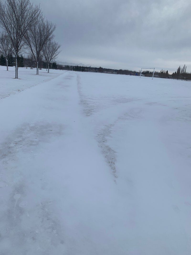walking near me in Oakdale Park in winter
