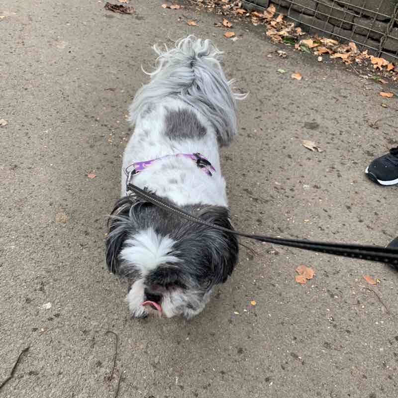 natasha_louise03 post 1