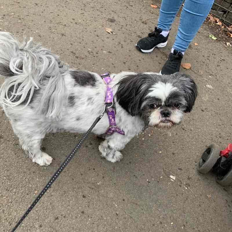 natasha_louise03 post 2