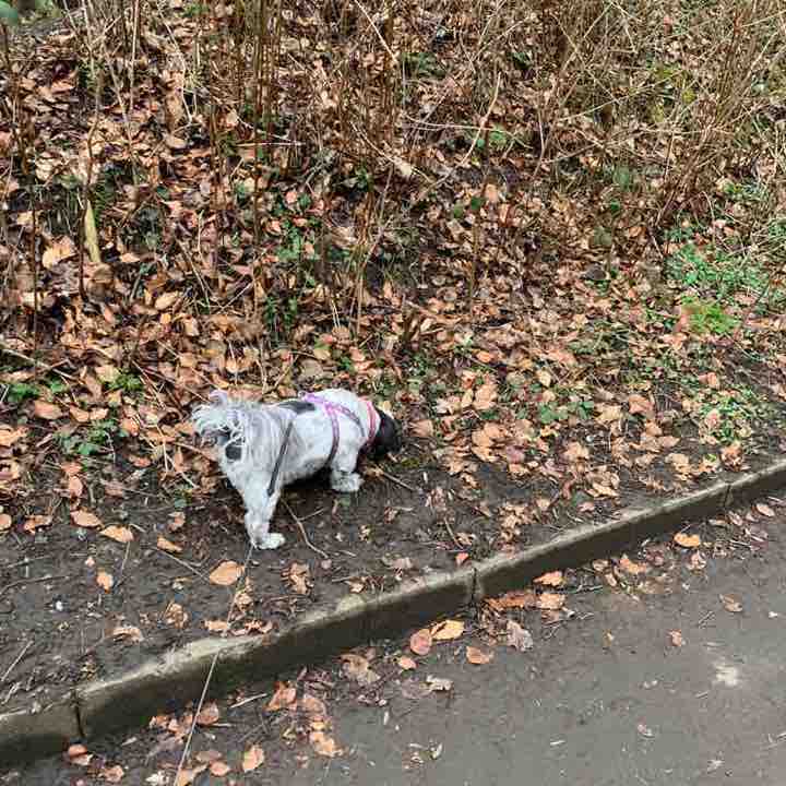 natasha_louise03 post 3