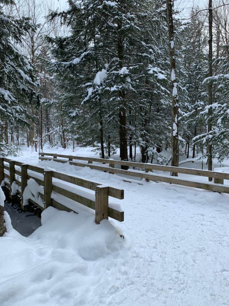 walking near me in Réserve naturelle du Canton-de-Shefford in winter