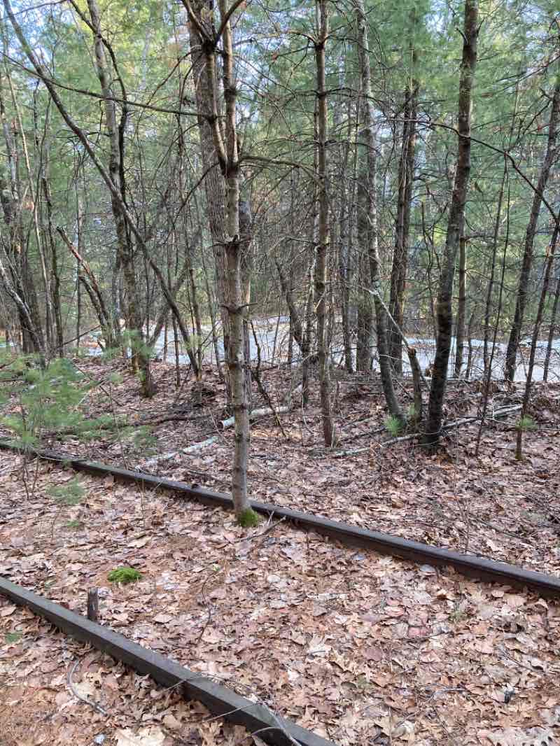 walking near me in Marlborough-Sudbury State Forest in winter
