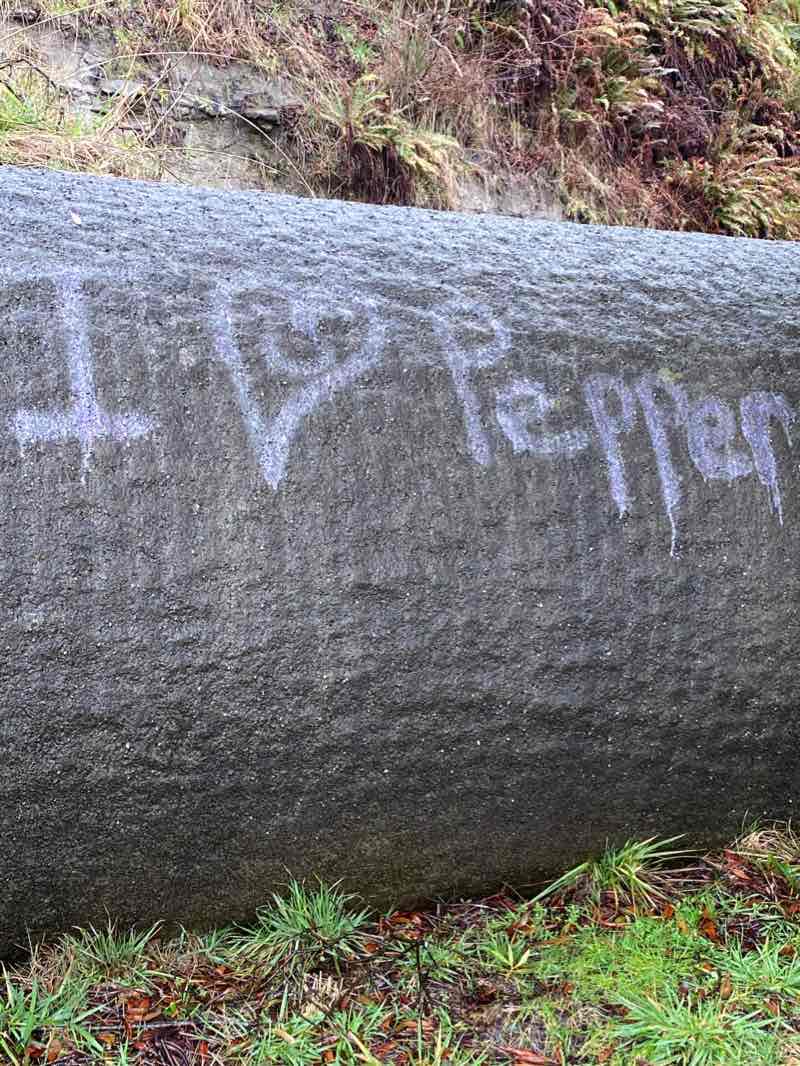 walking near me in East Aberdeen Waterfront Walkway in winter