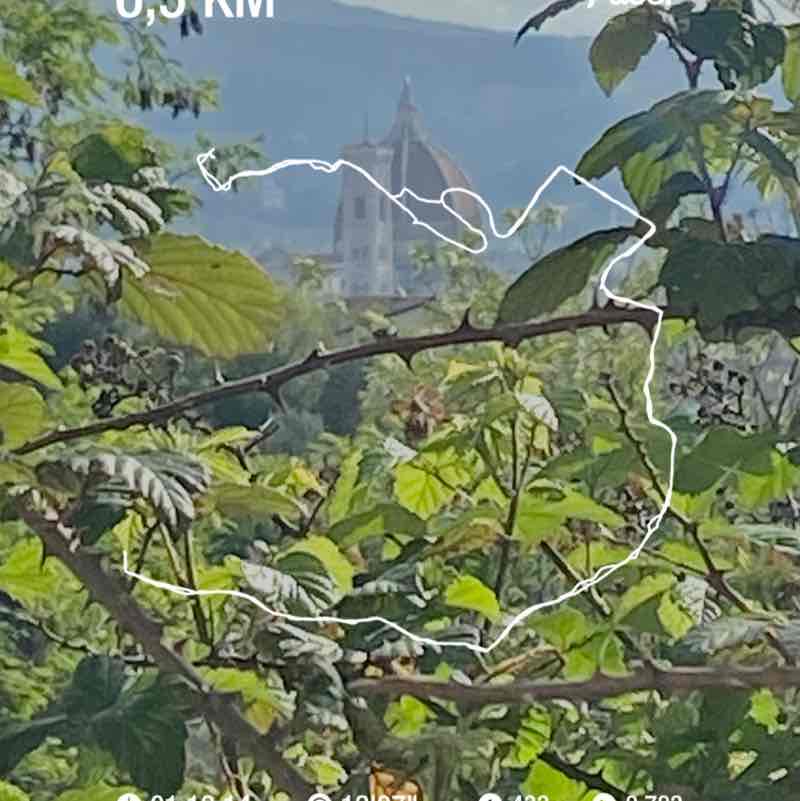 giadinastella83 post 1