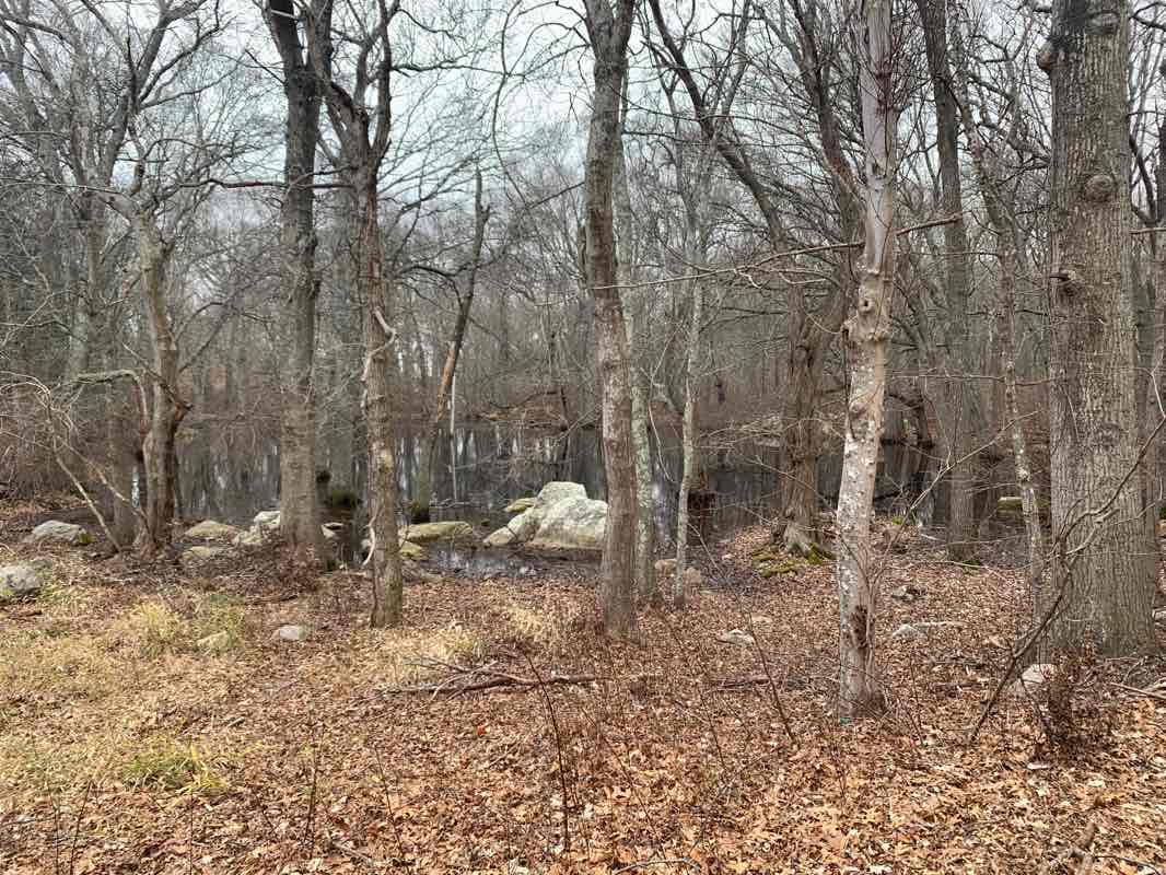 walking near me in Tanglewood Park in winter