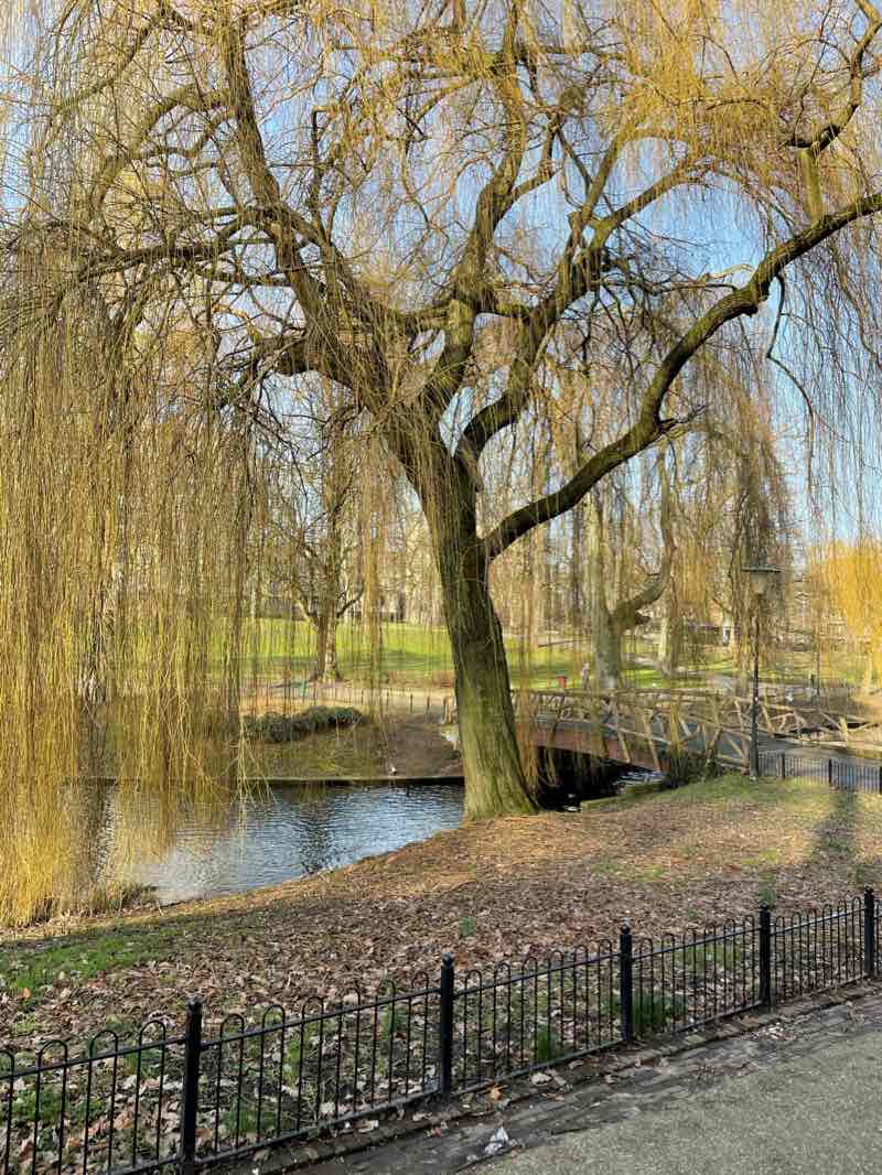 walking near me in Kronenburgerpark in winter