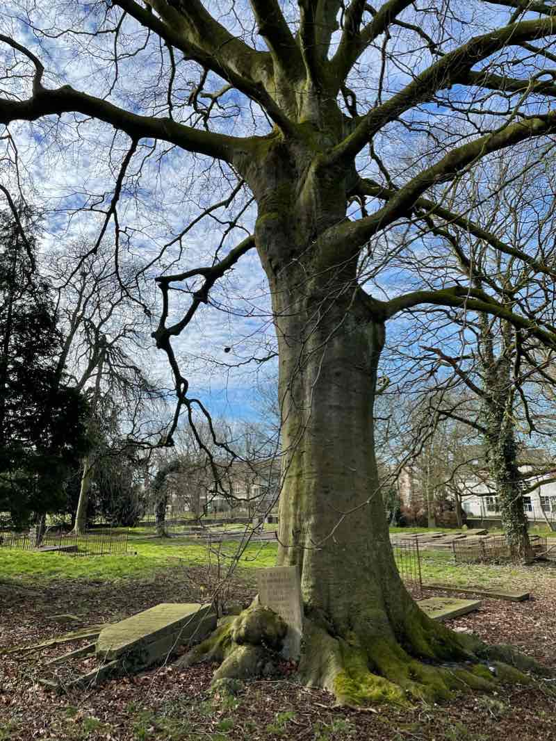 walking near me in Julianapark in winter