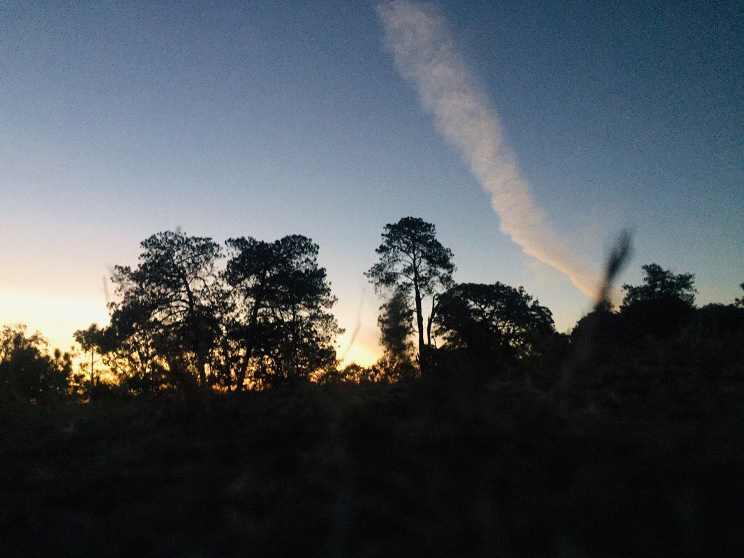 walking near me in El calvario in winter