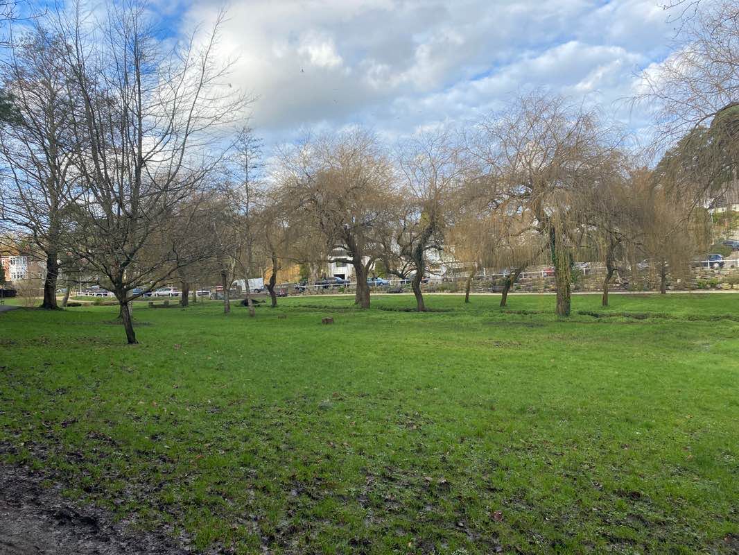 walking near me in Coy Pond Gardens in winter
