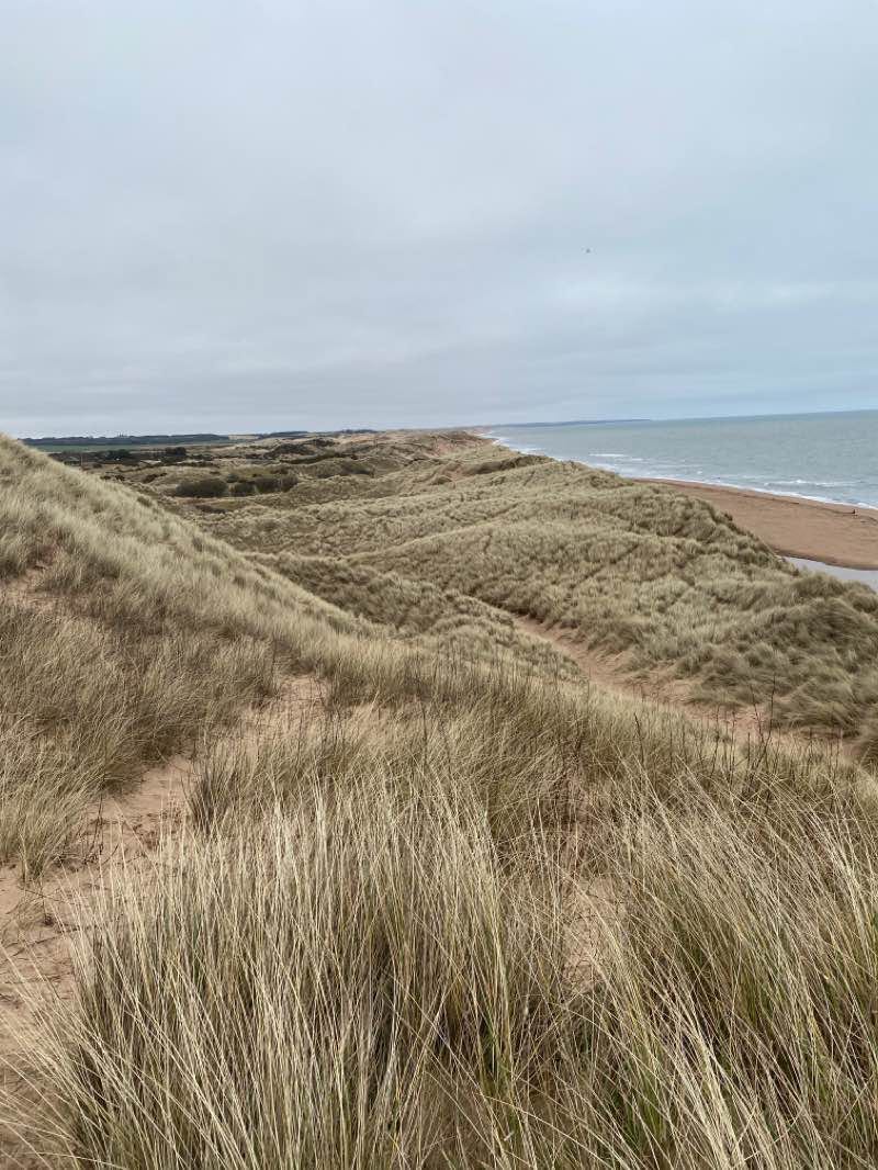 walking near me in Balmedie Country Park in winter