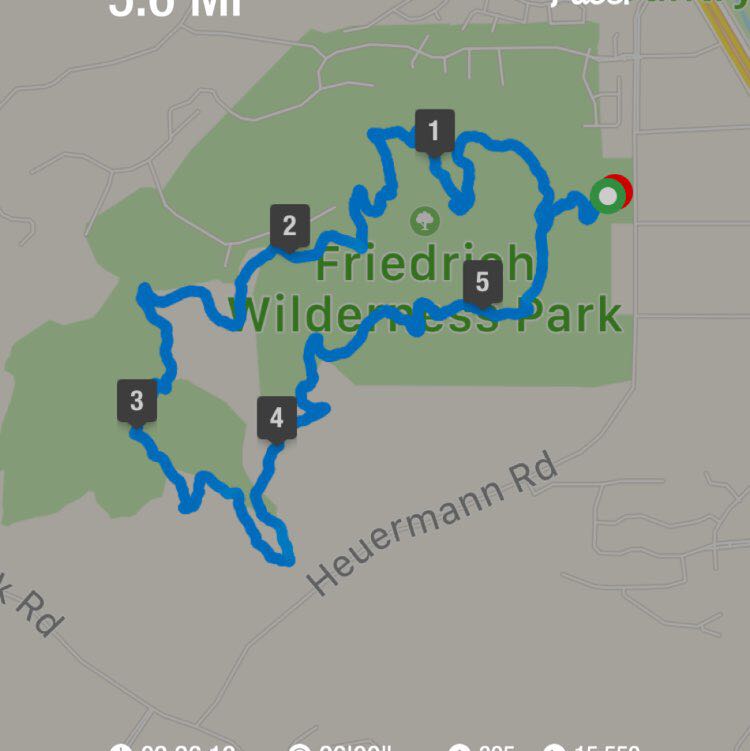 PacerGal_1966 post 1