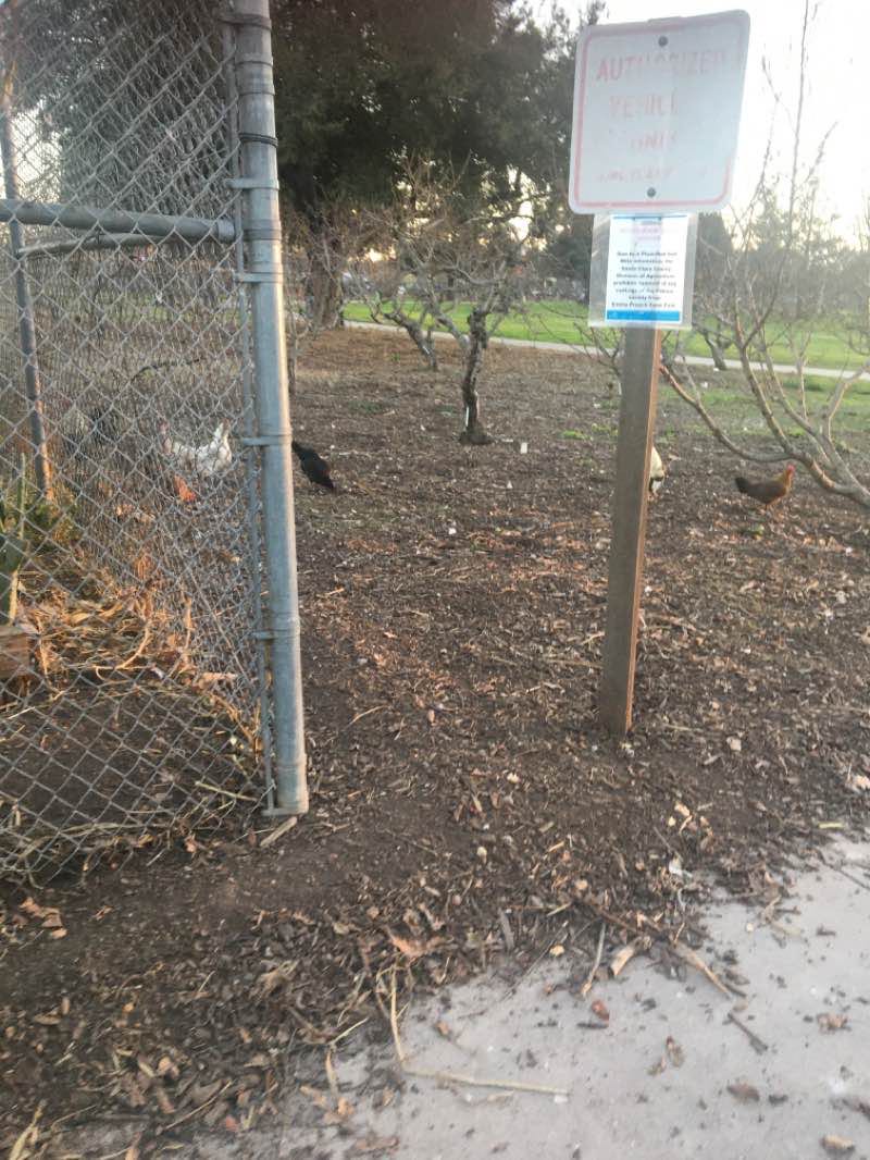 walking near me in Emma Prusch Farm Park in winter