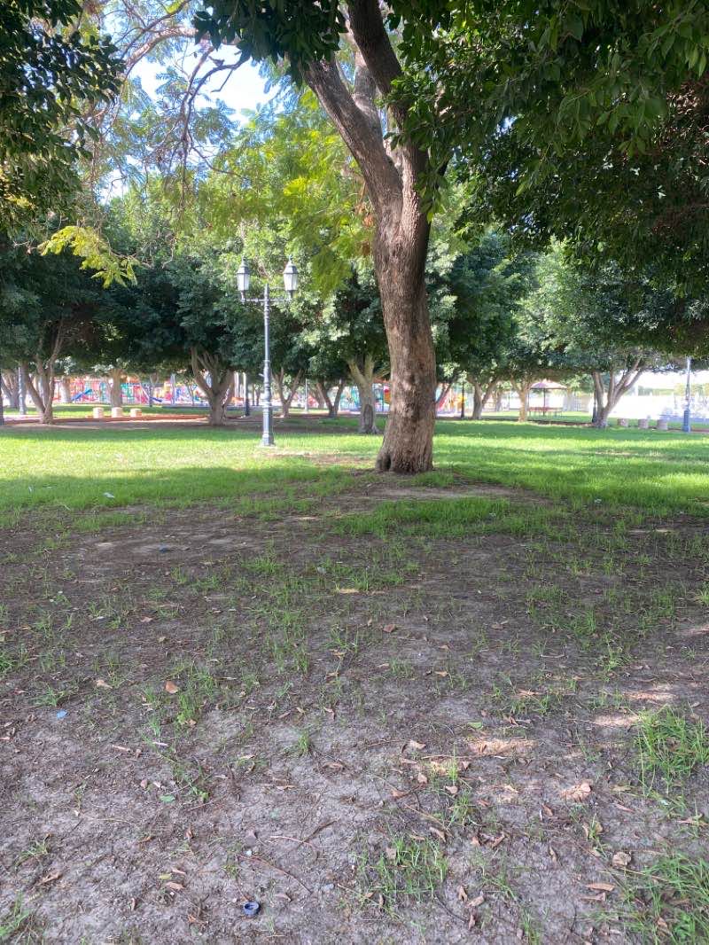 walking near me in Al Anoud Park in winter