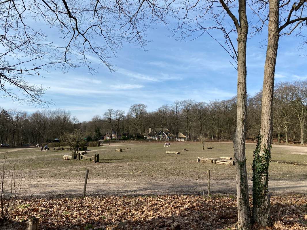 walking near me in Park Brakkenstein in winter