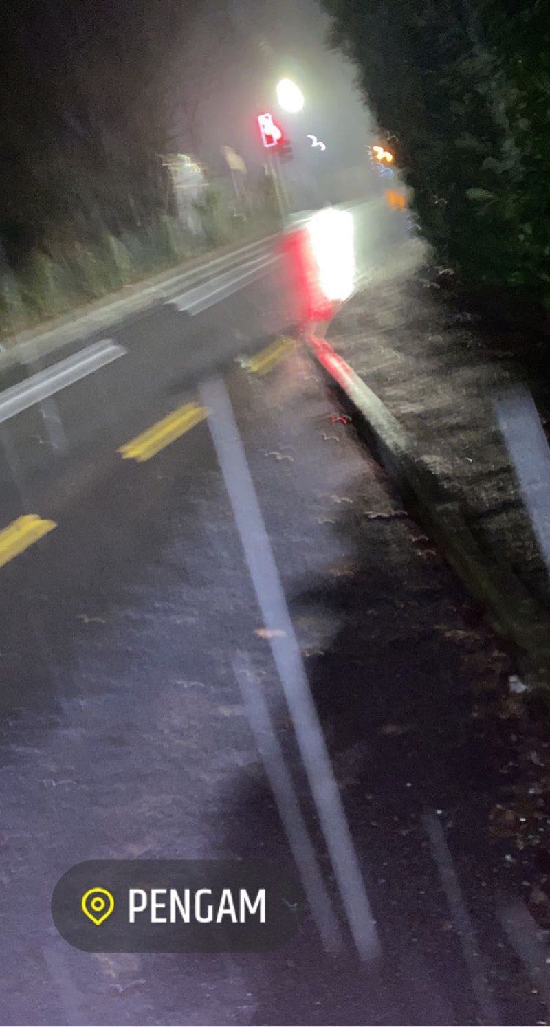 walking near me in Bargoed Woodland Park in winter